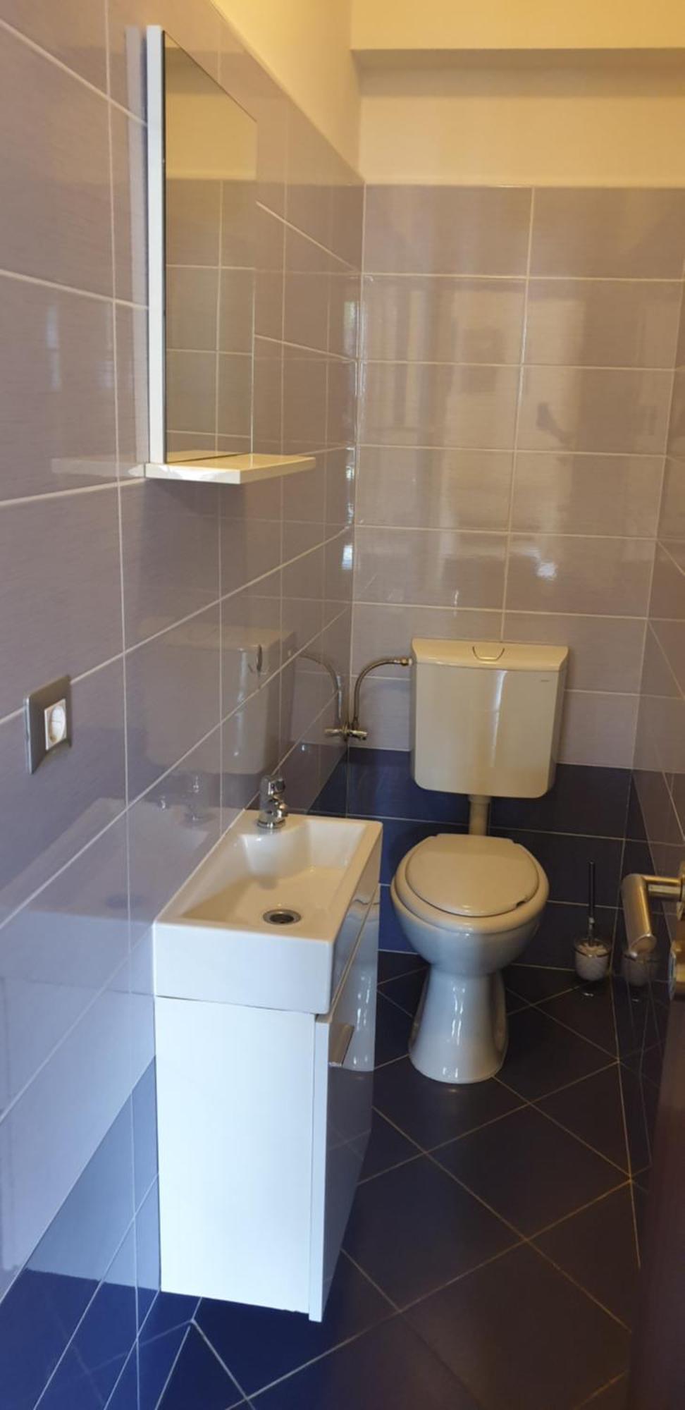Amy 50m From The Apartment Novigrad Istria